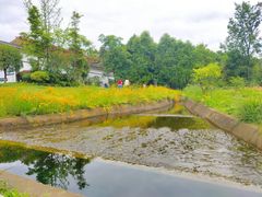 -桤木河湿地公园