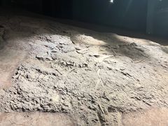-世界恐龙谷景区
