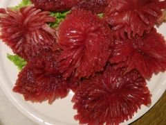 -杨家火锅(国美店)