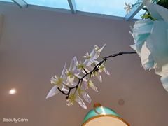 -芳华茶餐厅