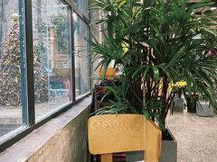 -腾爱熊猫咖啡生活馆(老东门店)