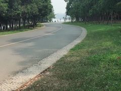 -松山湖南湖湾露营营地