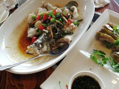 -顺德了能馆(虎门店)