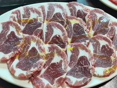 鲜羊肉-鞍山戰