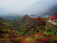 -狼牙山风景区