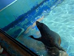 -太平洋海底世界