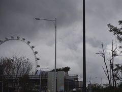 -宝安西湾红树林湿地公园