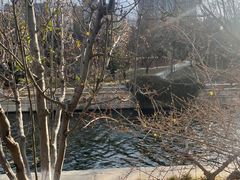 -元大都城垣遗址公园