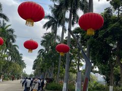 -万绿园