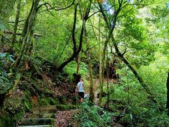 -云南屏边大围山国家公园