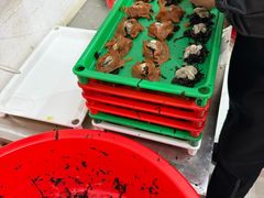 -陈记紫菜饼(湖滨霞店)