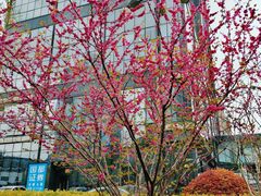 -海上海弘基休闲广场