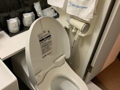 -大阪城堡酒店