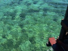 -东姑阿都拉曼海洋公园