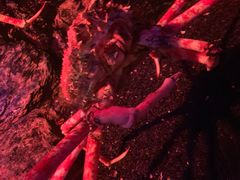 -暹罗海洋世界