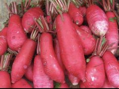 -爱侣宠医·鹦鹉专科·小型哺乳类·异宠专科(灵石路店)