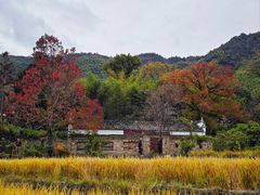-塔川景区