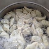 夏季让人胃口大开的茴香肉馅饺子