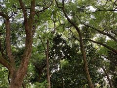 -杭州植物园