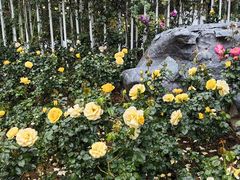 -人民公园(罗湖区)