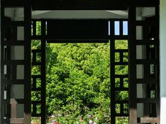 -上海鲜花港