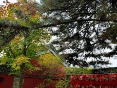 -潭柘寺景区