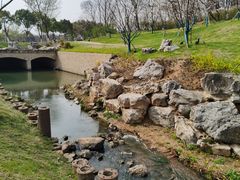 -羊山湖公园