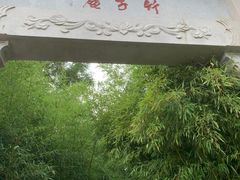 -竹子庵公园