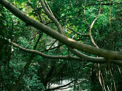 -燕晗山郊野公园