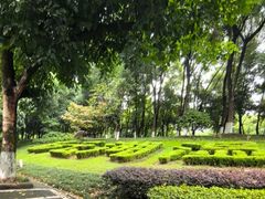 -重庆彩云湖湿地公园