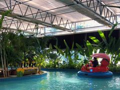 -南宫五洲植物乐园