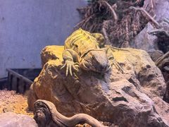 -昆明动物园