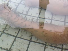 -山湖温泉