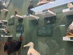 -国家自然博物馆