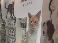 -瑞派申生动物医院·24H夜诊·国际动物医疗中心·骨外科(吴中路店)