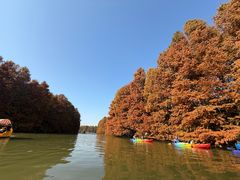 -上海海湾国家森林公园