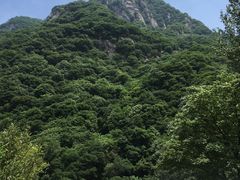 -陕西省红河谷森林公园