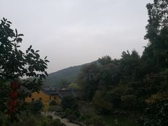 -杭州西湖风景名胜区-三生石