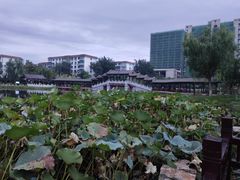 -西海子公园