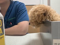 -瑞派康怡24h宠物医院·犬猫医疗中心·微创绝育(瑞景分院)