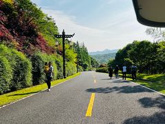 -宜兴龙背山森林公园