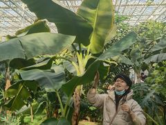 -中国农科院国家农业科技展示园