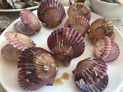 -港畔赶海蒸汽海鲜烧烤自助(仙螺岛店)
