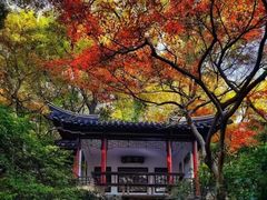 -惠山古镇·寄畅园