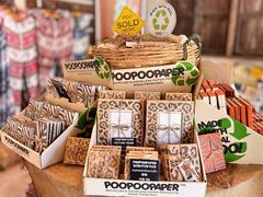 -大象粑粑造纸公园