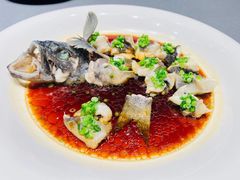 香葱碧绿蒸黑头鱼-怡情荟•海鲜青岛菜(五四广场旗舰店)