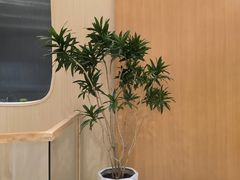 -瑶舍头疗·瑶浴·芳香热石SPA(五洲国际店)