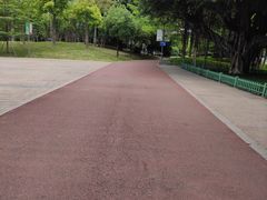 -光明港公园