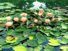 -国家植物园南园