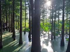 -云龙湖旅游景区